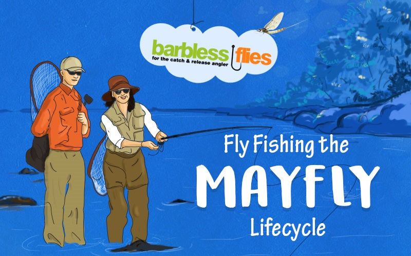 Fly Fishing the Mayfly Lifecycle [Infographic] - Barbless Flies