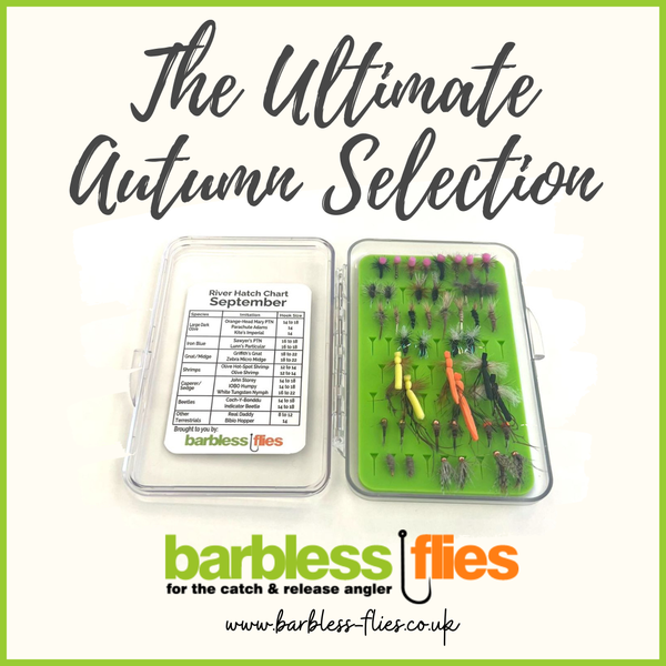 Ultimate Autumn Flies - Curated For Late Season Success