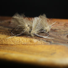 Load image into Gallery viewer, Bosnian CdC Olives