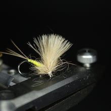 Load image into Gallery viewer, Bosnian CdC Olives