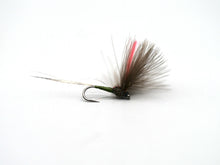 Load image into Gallery viewer, Bosnian 'Secret' Summer Olive Selection