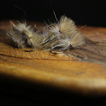 Load image into Gallery viewer, Bosnian CdC Olives