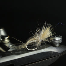 Load image into Gallery viewer, Bosnian CdC Olives