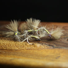 Load image into Gallery viewer, Bosnian CdC Olives