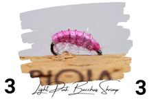 Load image into Gallery viewer, The Dirty Pink Bacchus Bug