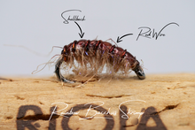 Load image into Gallery viewer, The Rainbow Bacchus Bug