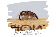 Load image into Gallery viewer, The Rainbow Bacchus Bug