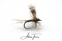 Load image into Gallery viewer, Adams Thorax