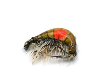 Load image into Gallery viewer, Hot-Spot Gammarus Special (Tan)