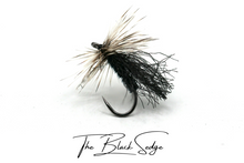 Load image into Gallery viewer, The Black Sedge