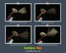 Load image into Gallery viewer, Bosnian Balon Pupa Selection