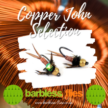 Load image into Gallery viewer, Copper John Selection
