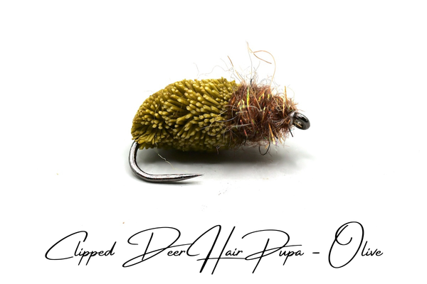Emerging Caddis Pupa - Olive