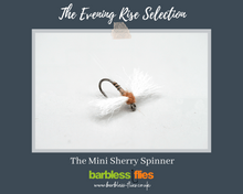 Load image into Gallery viewer, The Evening Rise Selection - NEW for 2025