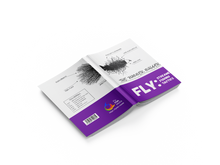 Load image into Gallery viewer, FLY Series: Streamer Fishing Tactics