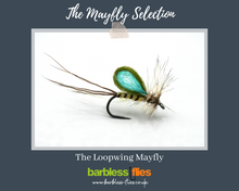 Load image into Gallery viewer, Mayfly (Full Lifecycle) Selection - Updated for 2025