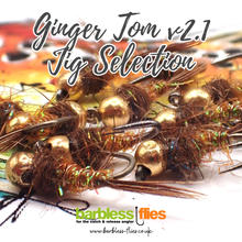 Load image into Gallery viewer, Ginger Tom v2.1 Jig Selection