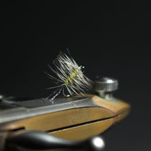 Load image into Gallery viewer, Bosnian Late-Season Dry Fly Selection