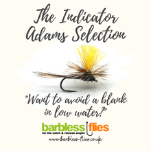 Load image into Gallery viewer, The Indicator Adams Selection
