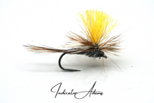 Load image into Gallery viewer, The Indicator Adams Selection