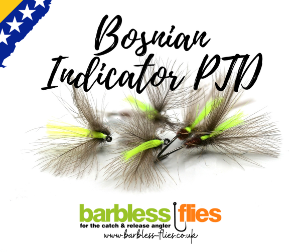 Bosnian Indicator PTD
