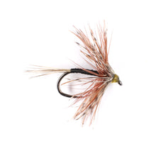 Load image into Gallery viewer, Specialist Dry Selection