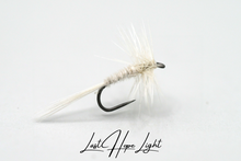 Load image into Gallery viewer, Last Hope - Light