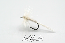 Load image into Gallery viewer, Last Hope - Light