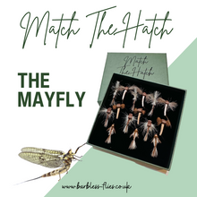 Load image into Gallery viewer, Match The Hatch Selection - Mayfly