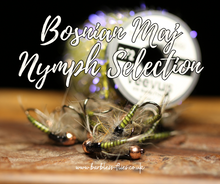 Load image into Gallery viewer, Bosnian Maj Nymphs