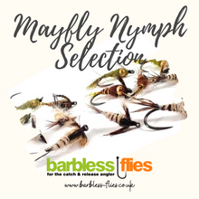 Load image into Gallery viewer, Mayfly Nymph Selection
