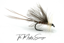 Load image into Gallery viewer, Mayfly (Full Lifecycle) Selection - Updated for 2025