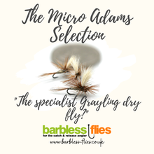 Load image into Gallery viewer, Micro Adams Selection