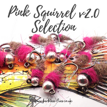 Load image into Gallery viewer, Pink Squirrel v2.0 Selection