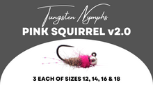 Load image into Gallery viewer, Pink Squirrel v2.0 Selection