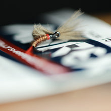 Load image into Gallery viewer, Bosnian Balon Pupa Selection