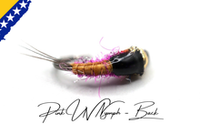 Load image into Gallery viewer, Bosnian Secret Autumn & Winter Nymphs