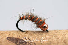 Load image into Gallery viewer, Pixie Nymph Selection