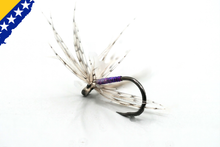 Load image into Gallery viewer, Bosnian Spiders