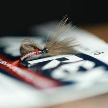 Load image into Gallery viewer, Bosnian Balon Pupa Selection