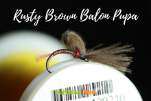 Load image into Gallery viewer, Bosnian Balon Pupa Selection