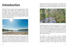 Load image into Gallery viewer, FLY Series: Small Streams & Small Flies