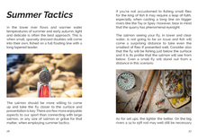 Load image into Gallery viewer, FLY Series: Fishing For Salmon