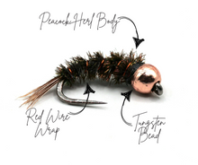Load image into Gallery viewer, Tungsten Peacock Herl Nymphs