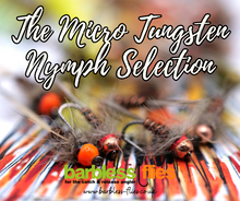 Load image into Gallery viewer, Micro Tungsten Nymph Selection
