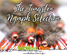 Load image into Gallery viewer, Tungsten Nymph Selection