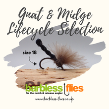 Load image into Gallery viewer, The Gnat & Midge Lifecycle Selection