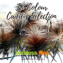 Load image into Gallery viewer, Tri-Colour Caddis (Tricolore) Selection