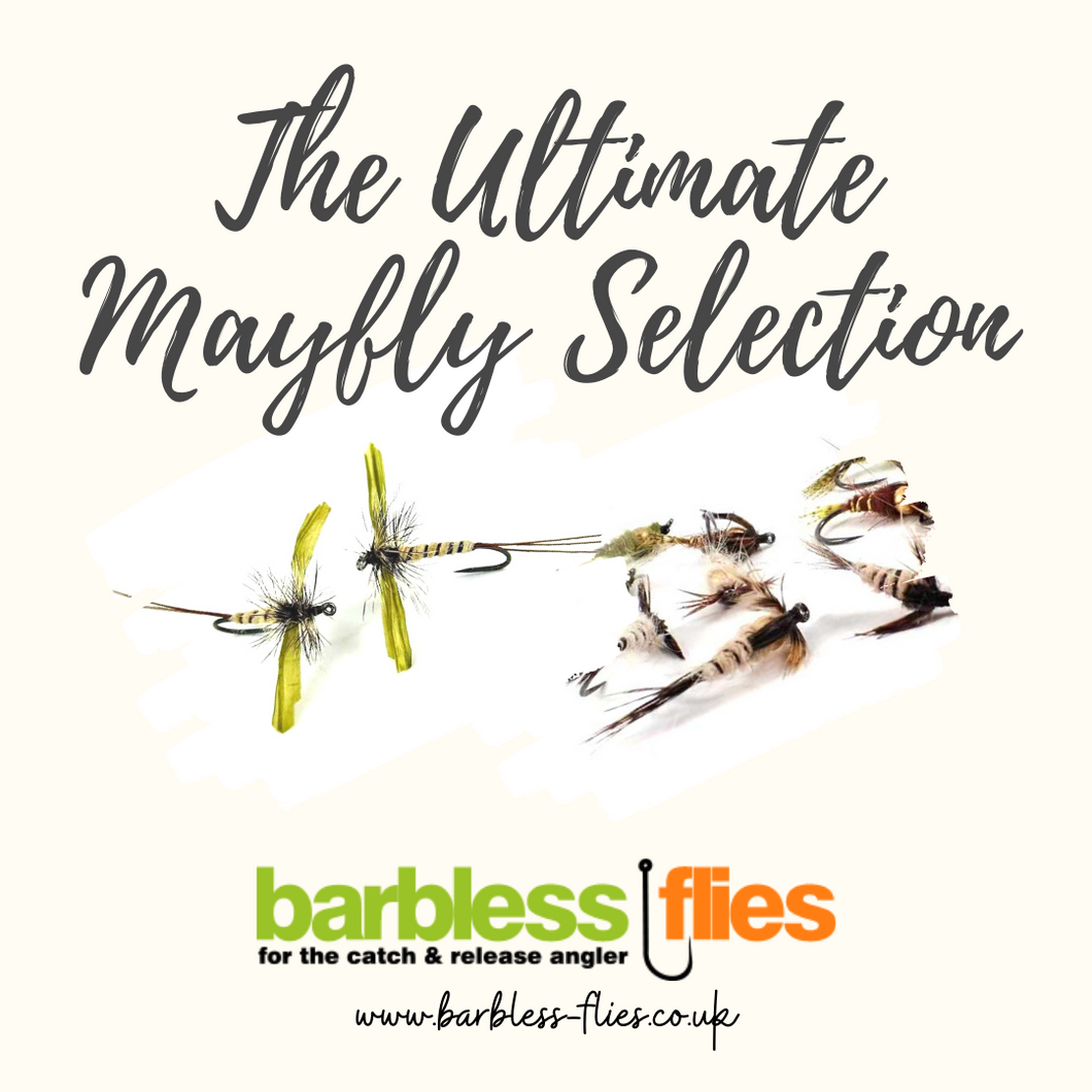 The Ultimate Mayfly Selection