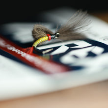 Load image into Gallery viewer, Bosnian Balon Pupa Selection